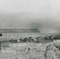 6054-b Photograph of dairy farm, including barns, yards and dairy cattle. I