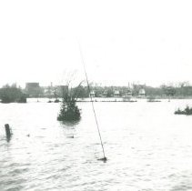 Flooding of the Speed River