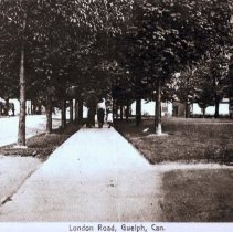 Negative of London Road, Guelph