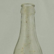 Bottle