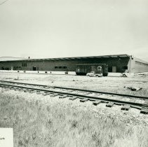 Imperial Tobacco Plant, 1959