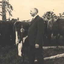 Charles Barber with Cattle