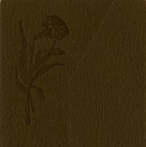 2017_33_4_front_closed