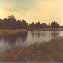 156 Downey Road, Guelph  1977