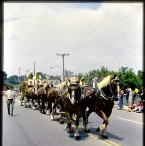 Guelph 150 Parade - Carlsberg Wagon