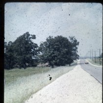 Clair Road Crow Vetch alley