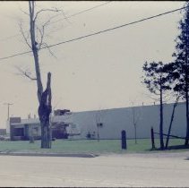 Dow Corning Silicones