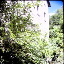 Howitt Creek at Phoenix Mill