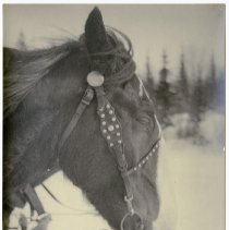 2018.58.28 - Photograph