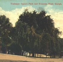 1986.18.36 - Postcard