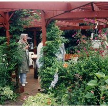 2012.113.5.11 - Photograph