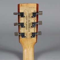 Guitar, Detail