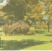 1972.46.57 - Postcard, front