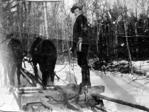Elmer Davis Logging, 1927