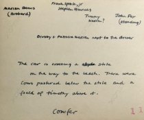 Conifer Transportation to the Beach