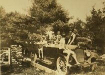 Conifer Transportation to the Beach