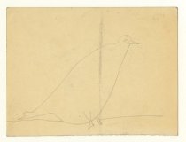 1993.11.0676 02/19/2020