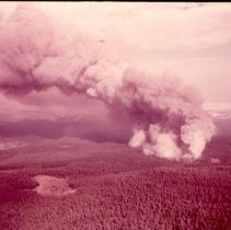 Fuels Management Training