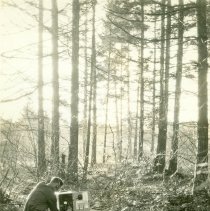 A. G.  Simson Operating Type SP