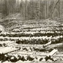 Big Creek Flume and Log Deck