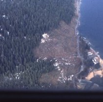 Clearcut Harvest along Rodman Bay