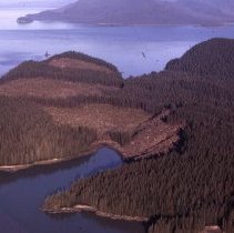 Clearcut on a Small Island