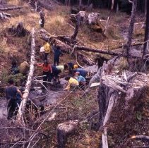 Forestry Day at Switzer Creek