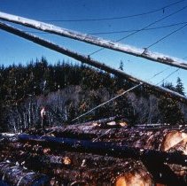 A Frame Log Loader Derrick