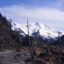 Barton & Reynvan's Logging Road