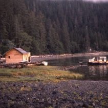 Two Man Faller's Camp