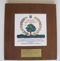 Award for Efforts to Improve the Environment