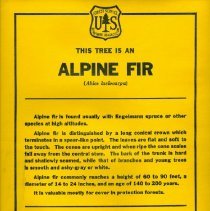 Alpine Fir Tree Education Poster