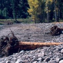 A Log & Root Wad Fish Structure Installed in Meander