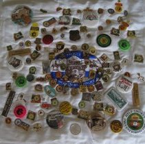 Smokey Bear and Other Forest Pins Collection