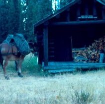 Cabin Creek Guard Station