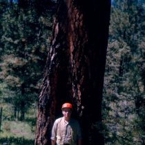 Dave Stack Malheur National Forest