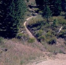 ATV Damage to Plum Creek Land