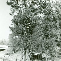 Construction Project