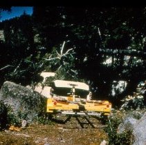 Car and Boat Trailer covered with Trees