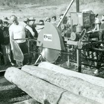 Mighty Mite Sawmill