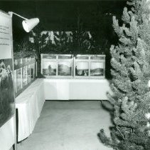 Exhibit, Beaverhead National Forest