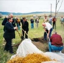 Planting a Champion Tree