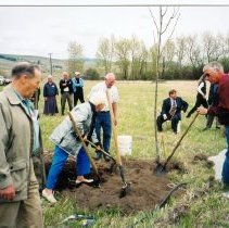 Planting a Champion Tree