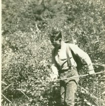 Al Butler Spraying for Blister Rust