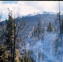 1977 Pattee Canyon fire