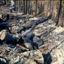 1977 Pattee Canyon fire