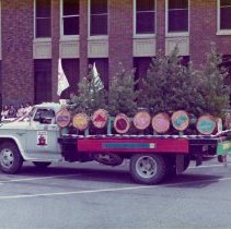 Bicentennial Parade Float