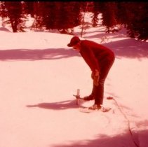 Snow Survey