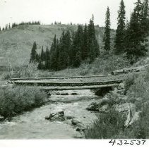 Alder Stock Trail Bridge