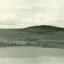Sheep Grazing Glacier Lake Allotment
